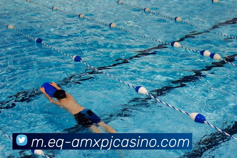 澳门新葡京娱乐APP 封面图